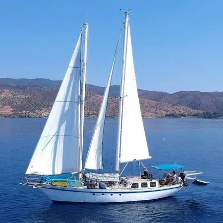 Fantastico Velero En Barcelona